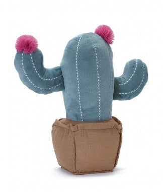 Blooming Cactus