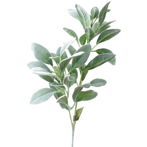 Lambs Ear Stem