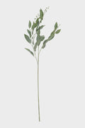 Garden Sage 97cm - Green